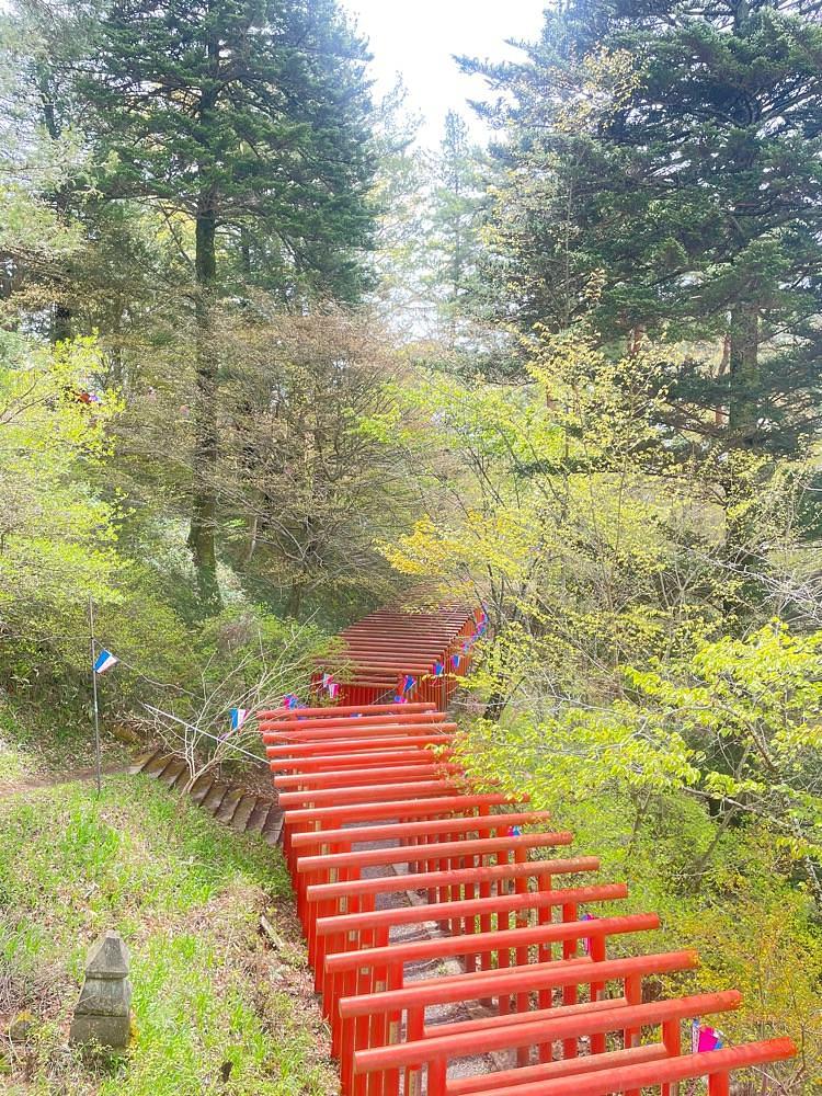 nostalgic_hiking_bca8さんが投稿した稲荷山公園に関する口コミの画像