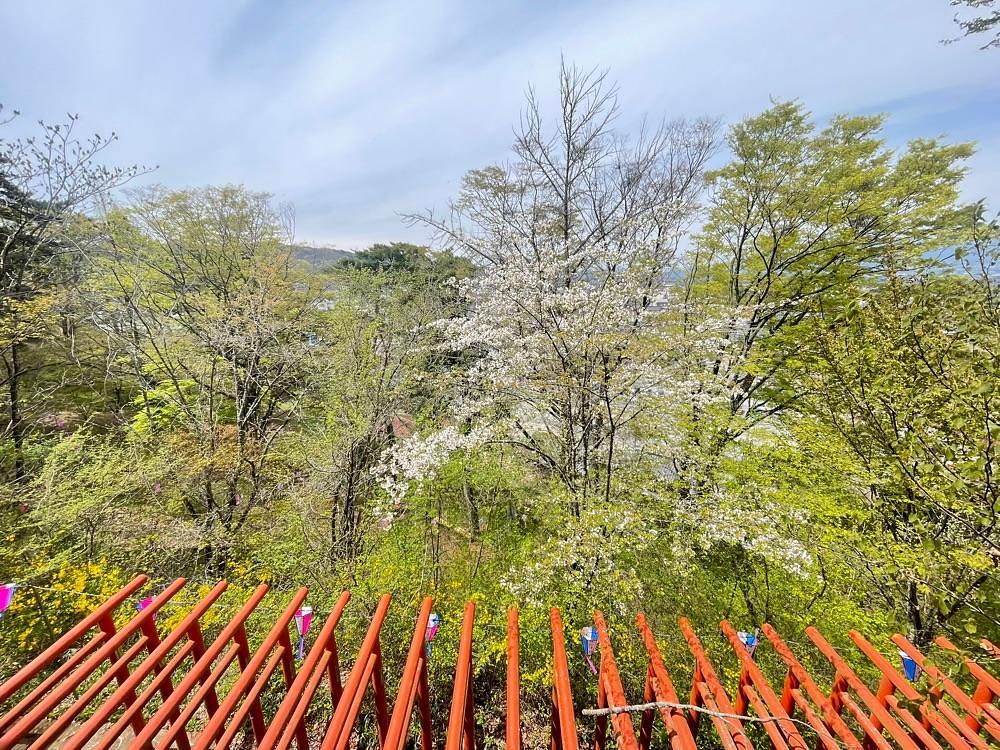 nostalgic_hiking_bca8さんが投稿した稲荷山公園に関する口コミの画像