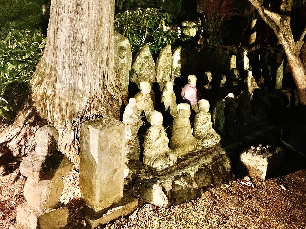 猫なぎ。さんが投稿した光泉寺に関する口コミの画像