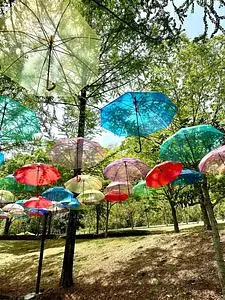 甘楽総合公園
