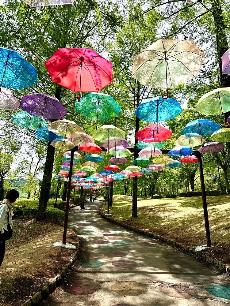 からっ風②さんが投稿した甘楽総合公園に関する口コミの画像