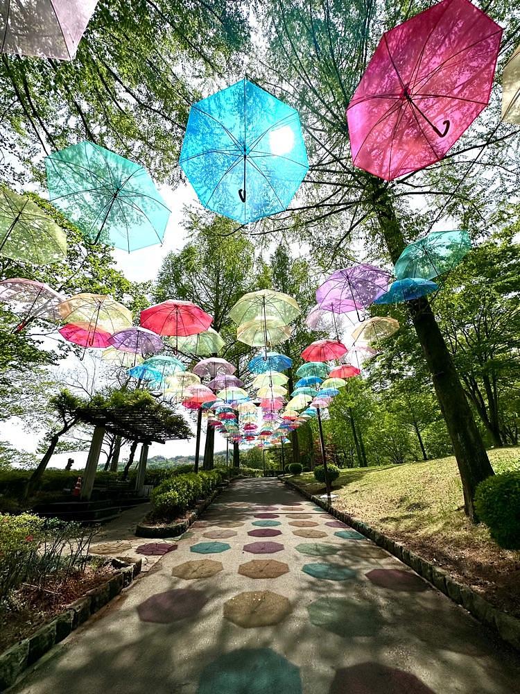 からっ風②さんが投稿した甘楽総合公園に関する口コミの画像