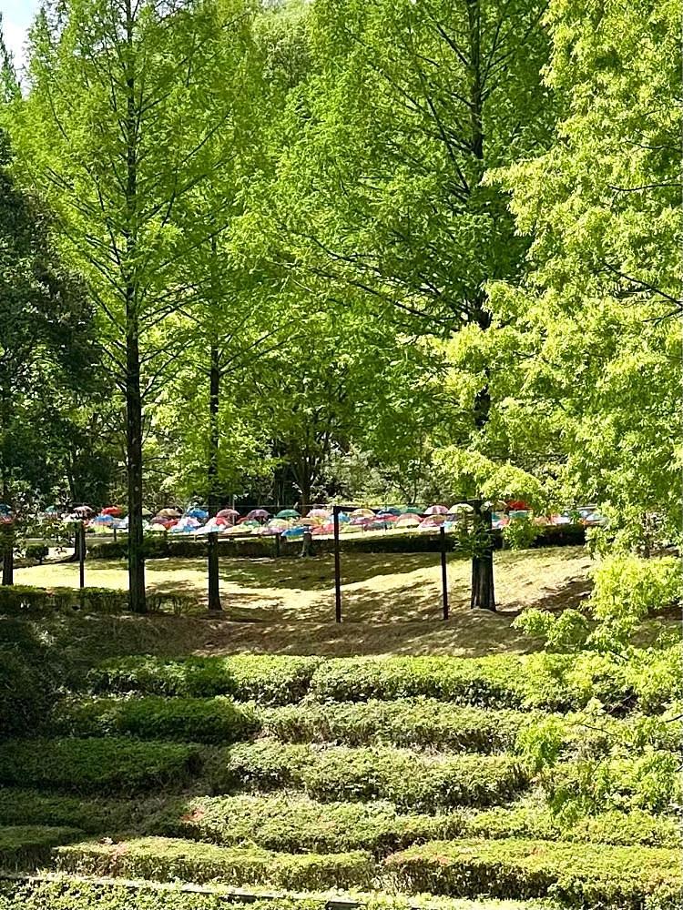 からっ風②さんが投稿した甘楽総合公園に関する口コミの画像