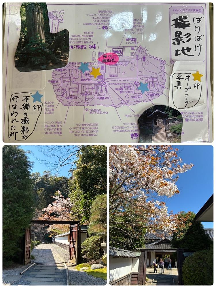 deriさんが投稿した月照寺に関する口コミの画像