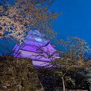 若松城趾(鶴ヶ城)