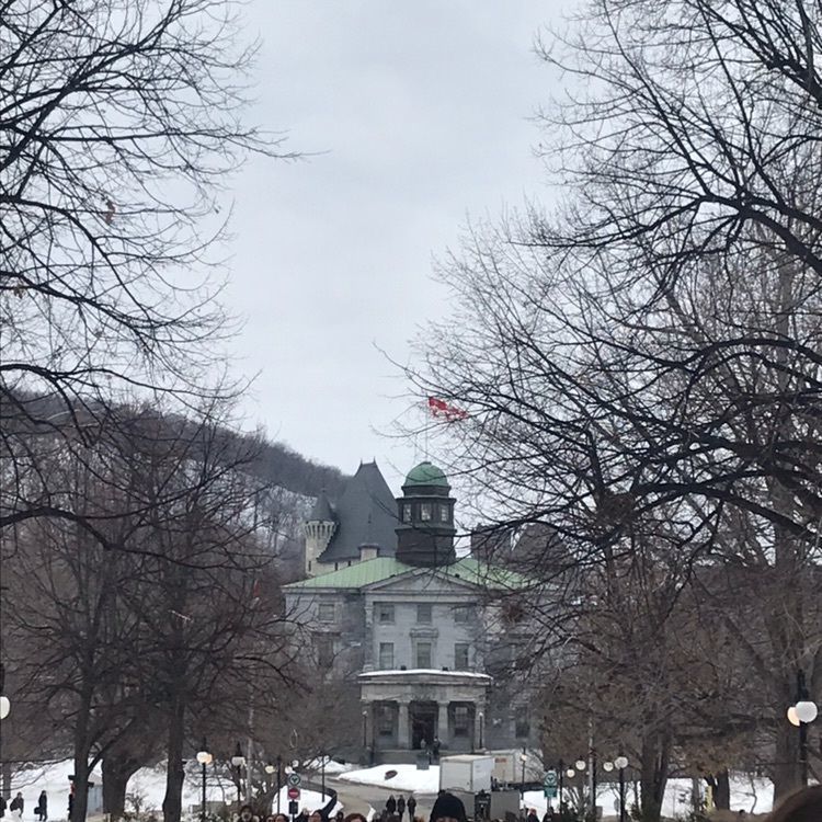 hnkk1125さんが投稿したParc du Mont-Royal（モンロワイヤル公園）に関する口コミの画像
