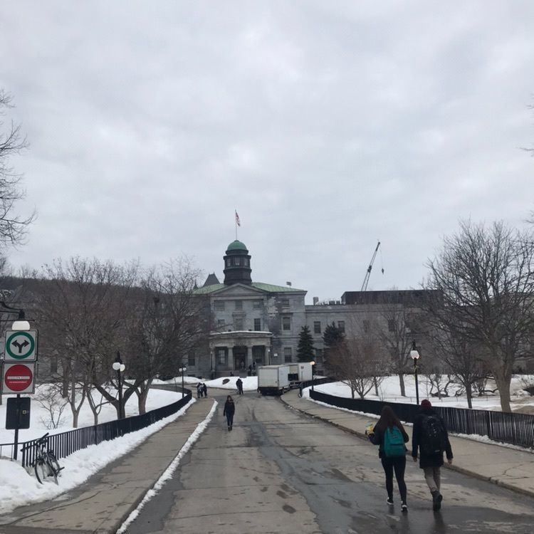 hnkk1125さんが投稿したParc du Mont-Royal（モンロワイヤル公園）に関する口コミの画像