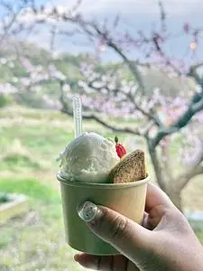 五果苑