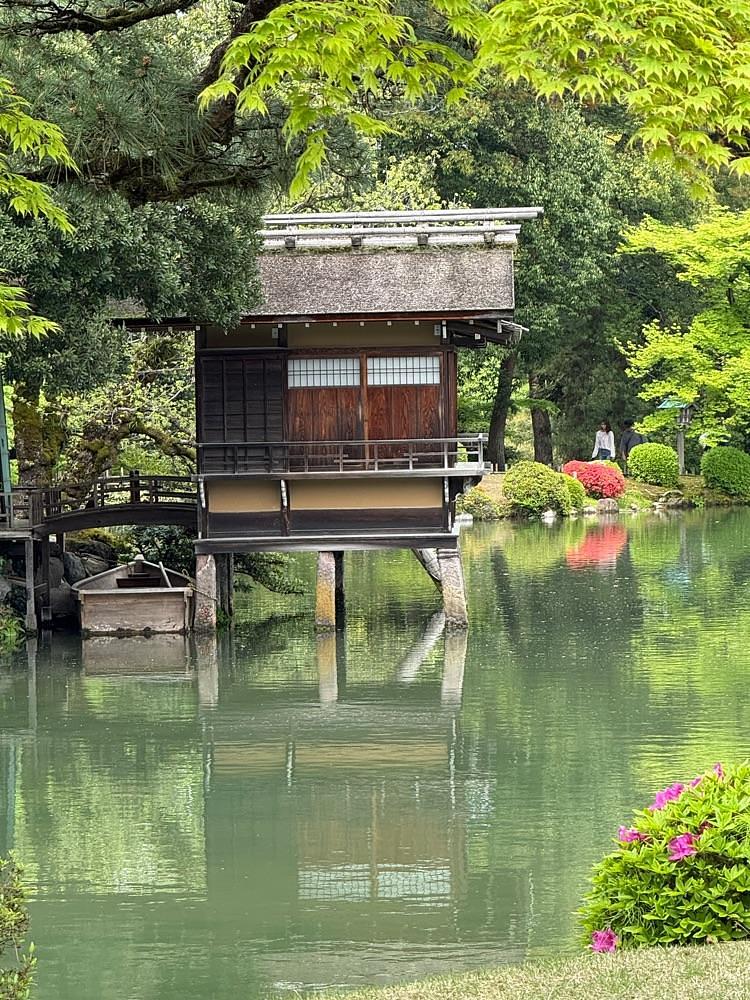junさんが投稿した兼六園の梅に関する口コミの画像