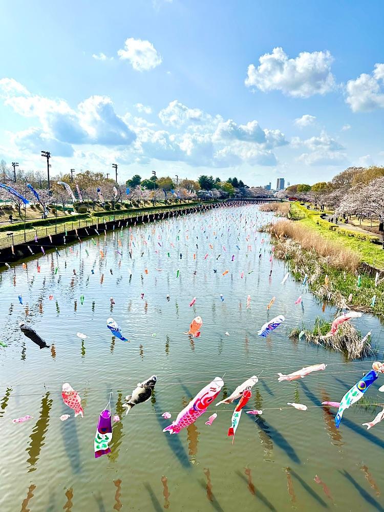からっ風②さんが投稿した館林市に関する口コミの画像