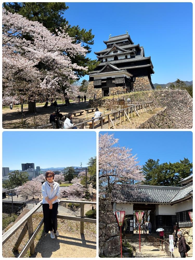 deriさんが投稿した松江城山公園の桜に関する口コミの画像