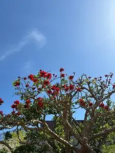 オリオン嵐山ゴルフ倶楽部