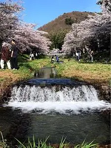観音寺（福島県猪苗代町）