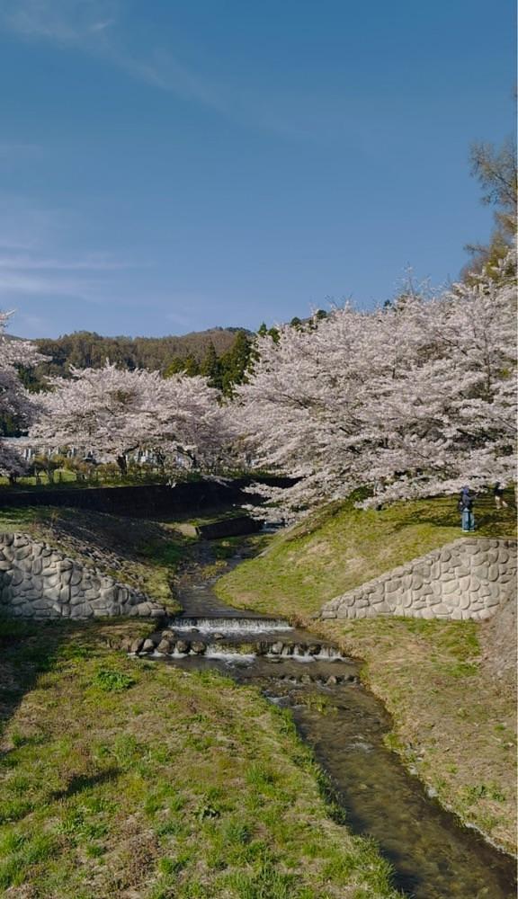 ぺたこ♡さんが投稿した観音寺（福島県猪苗代町）に関する口コミの画像