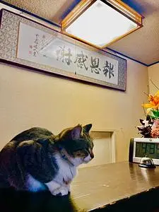 草津温泉 中村屋旅館