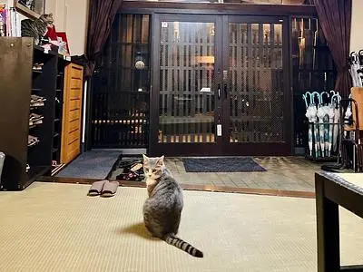 中村屋旅館