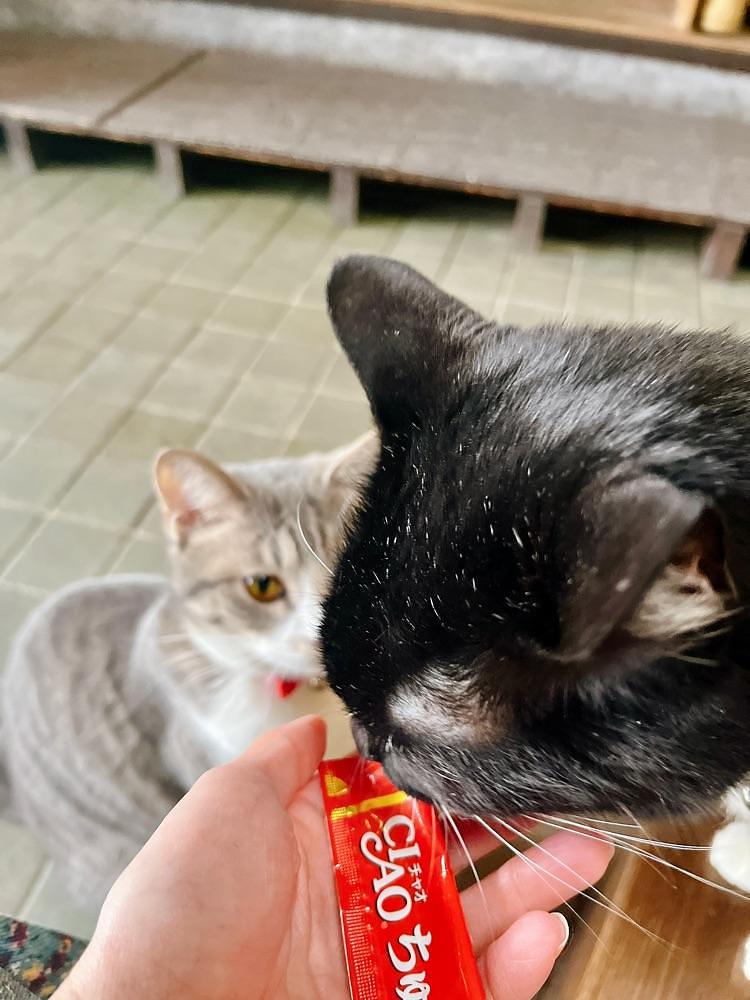 猫なぎ。さんが投稿した中村屋旅館に関する口コミの画像