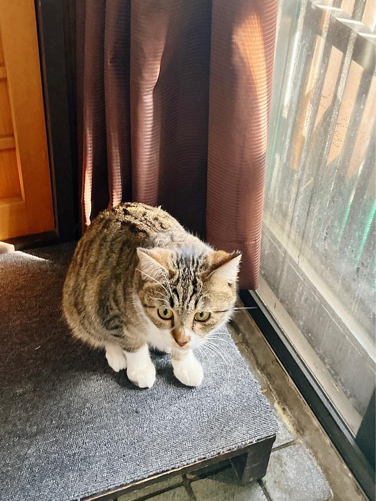 猫なぎ。さんが投稿した中村屋旅館に関する口コミの画像