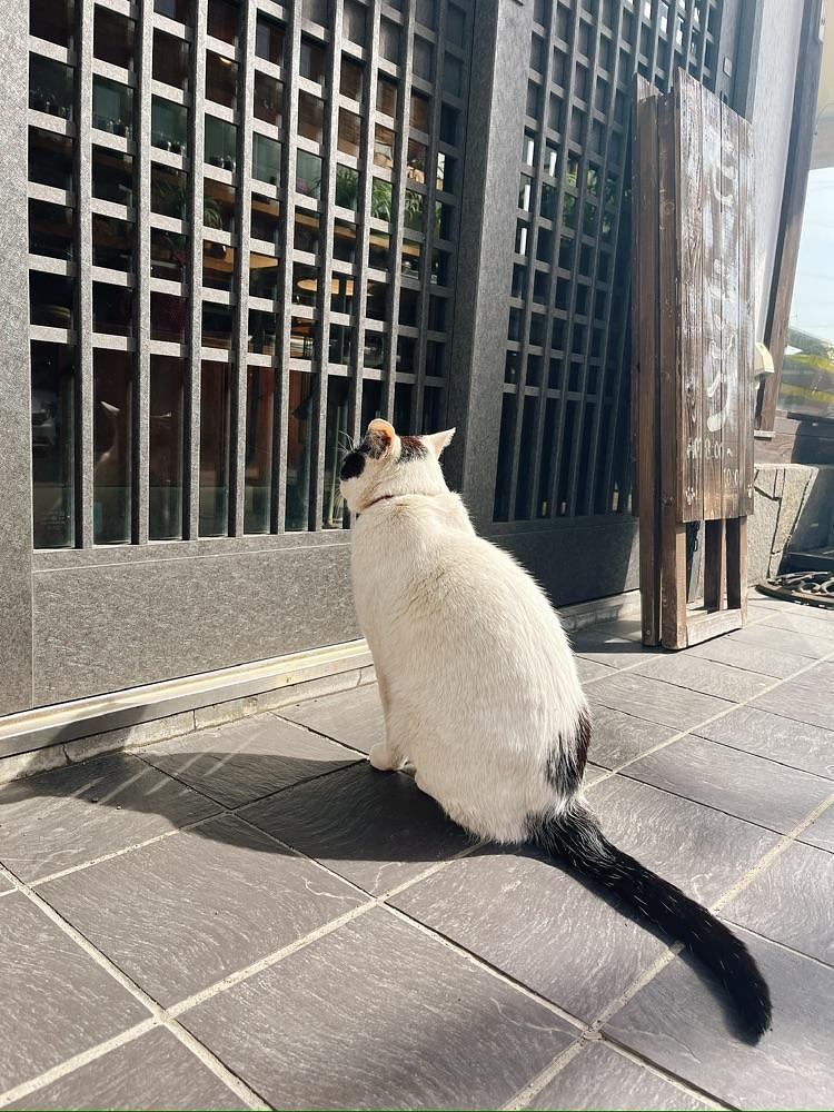 猫なぎ。さんが投稿したペンション五郎次に関する口コミの画像