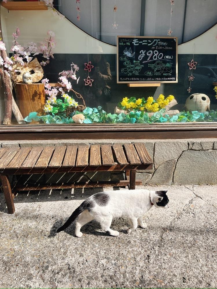 猫なぎ。さんが投稿したペンション五郎次に関する口コミの画像