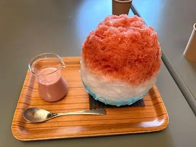 埜庵（のあん）