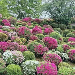 上下水道局蹴上浄水場 3枚目