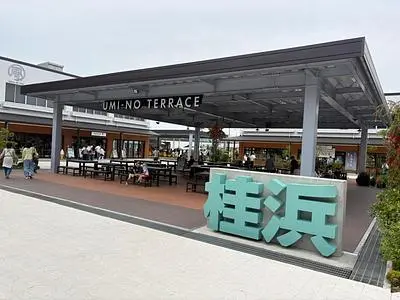 かつら浜（かつらはま）