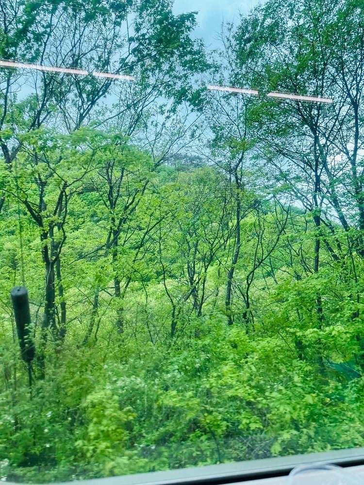 かめ_メグミさんが投稿した山寺観光案内所に関する口コミの画像