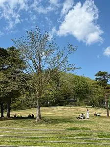 山形市野草園
