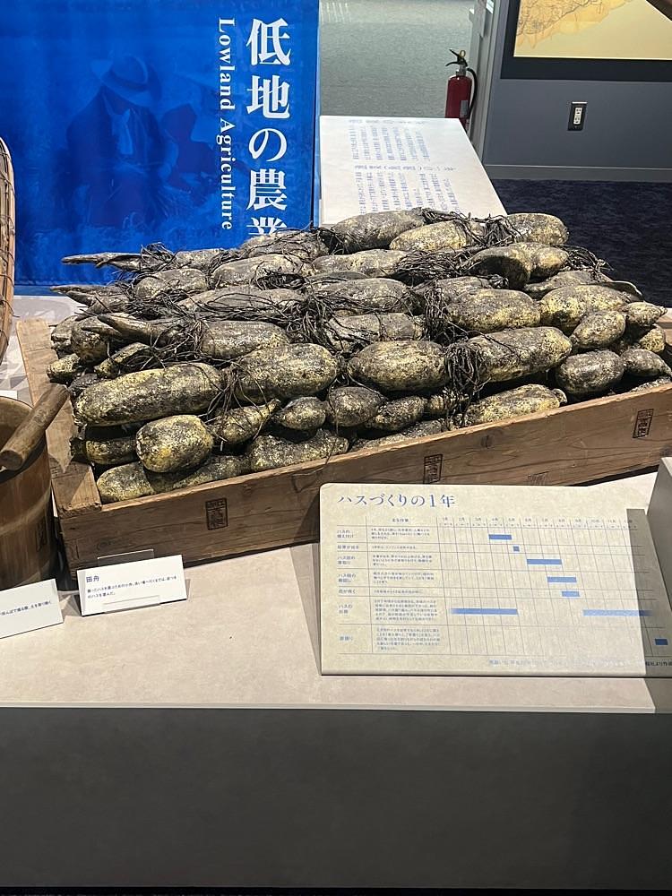 🤎アイヒンまま🤎さんが投稿した浦安市郷土博物館に関する口コミの画像