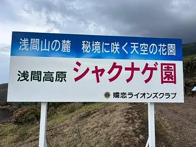 浅間高原しゃくなげ園