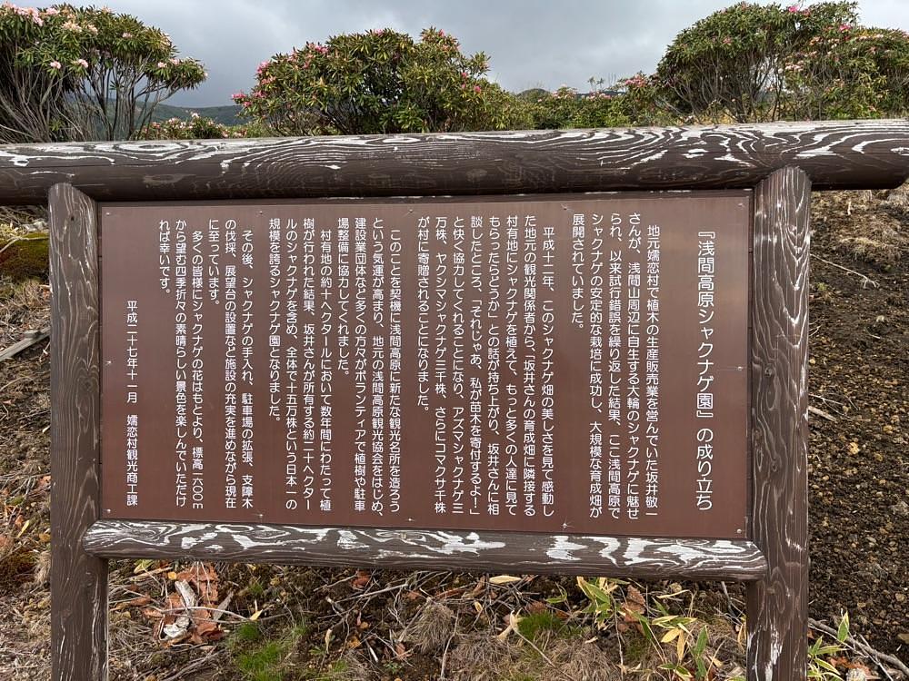 それなはとけさんが投稿した浅間高原しゃくなげ園に関する口コミの画像