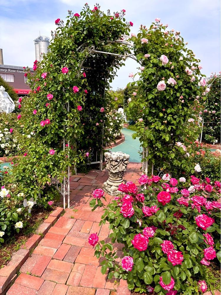 カランさんが投稿した姫路ばら園に関する口コミの画像