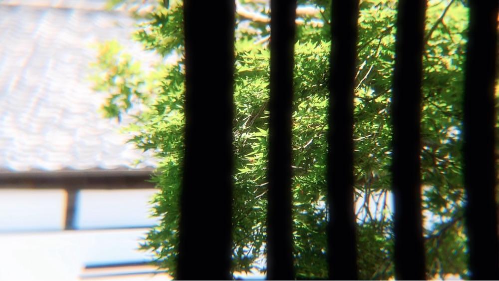 兎きち さんが投稿した津久見屋果實店に関する口コミの画像