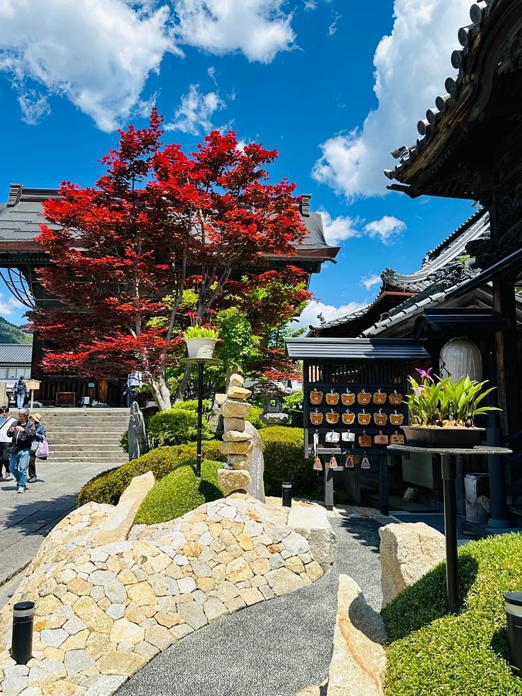 かめ_メグミさんが投稿したMACCHA HOUSE 抹茶館 善光寺仲見世通り店（マッチャ ハウス 抹茶館）に関する口コミの画像
