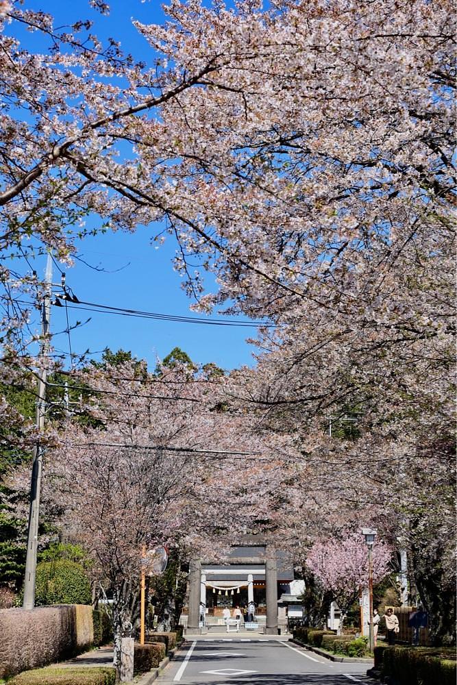 まさまさ　さまさんが投稿した乃木神社に関する口コミの画像