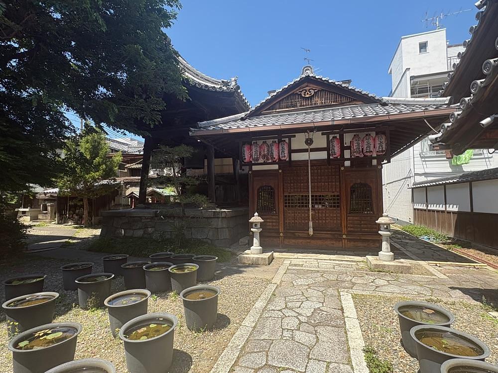 alpha4201さんが投稿した行願寺（革堂）に関する口コミの画像