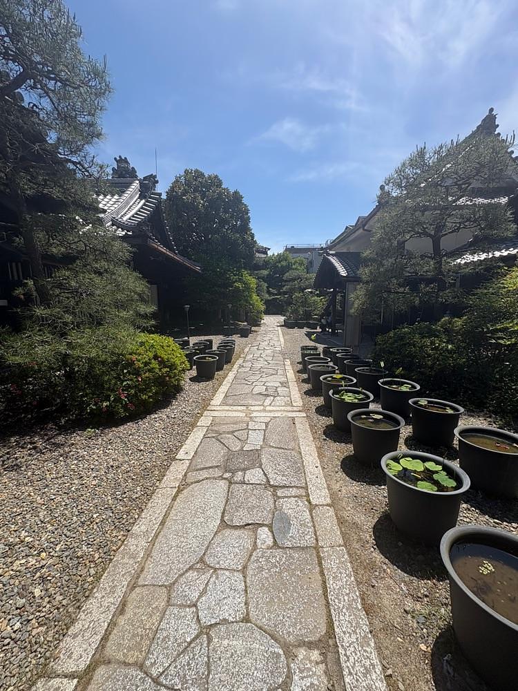 alpha4201さんが投稿した行願寺（革堂）に関する口コミの画像