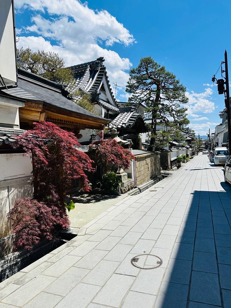 かめ_メグミさんが投稿した雲上殿の桜に関する口コミの画像