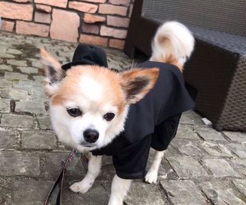 ロックハート城
