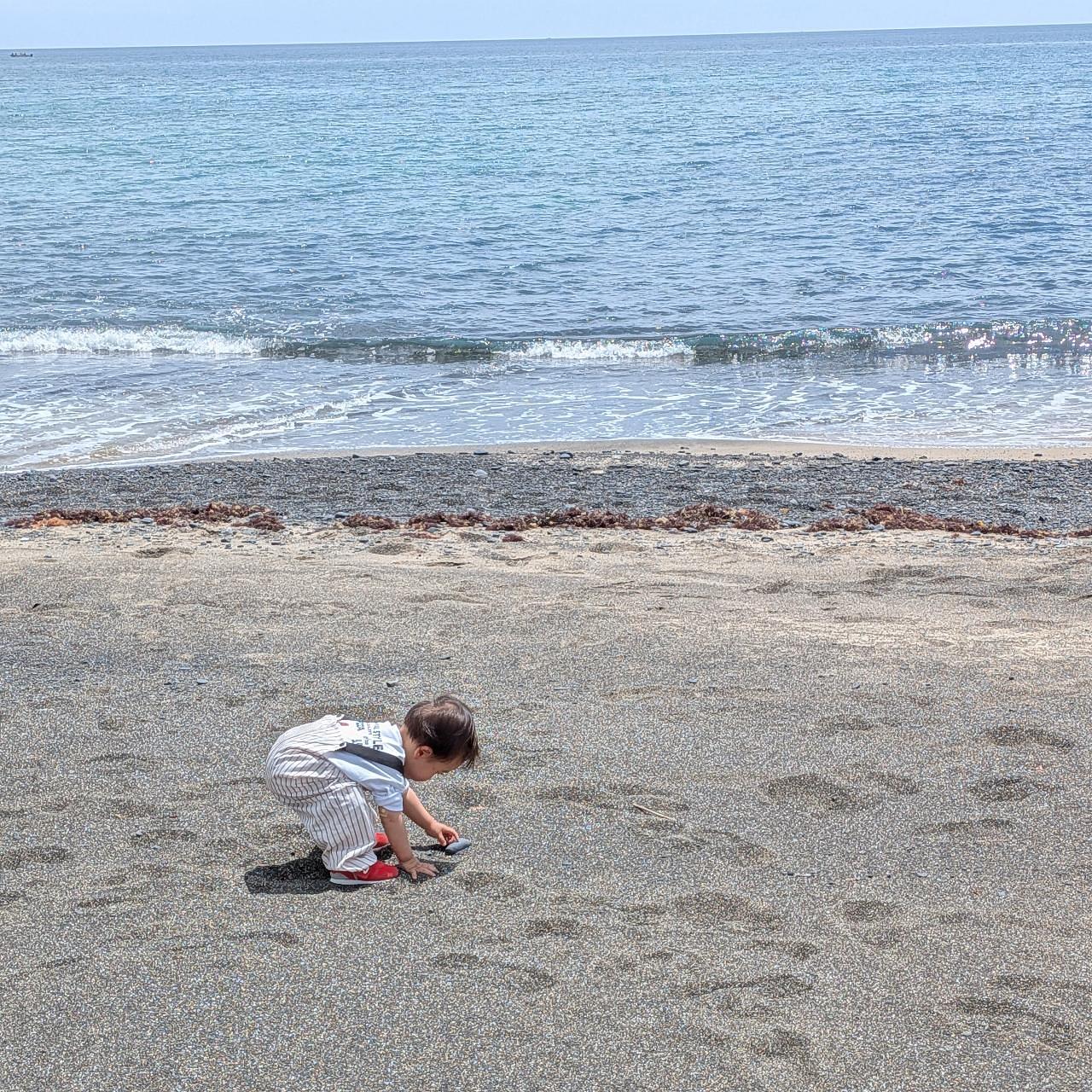 ぬっくさんが投稿した田曽白浜に関する口コミの画像