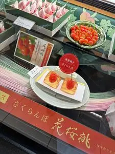 宗家 源吉兆庵 京阪くずは店