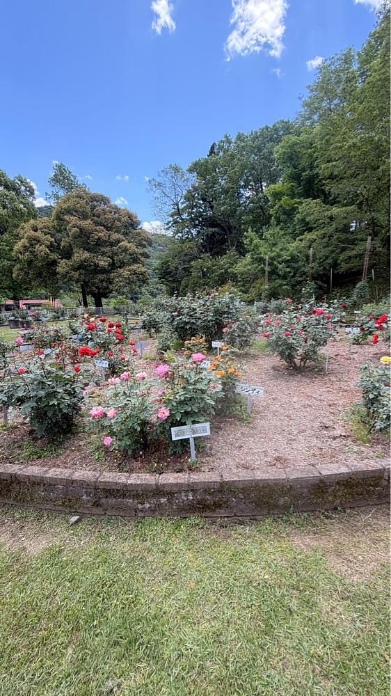 りおん💓さんが投稿した岐阜市畜産センター公園に関する口コミの画像