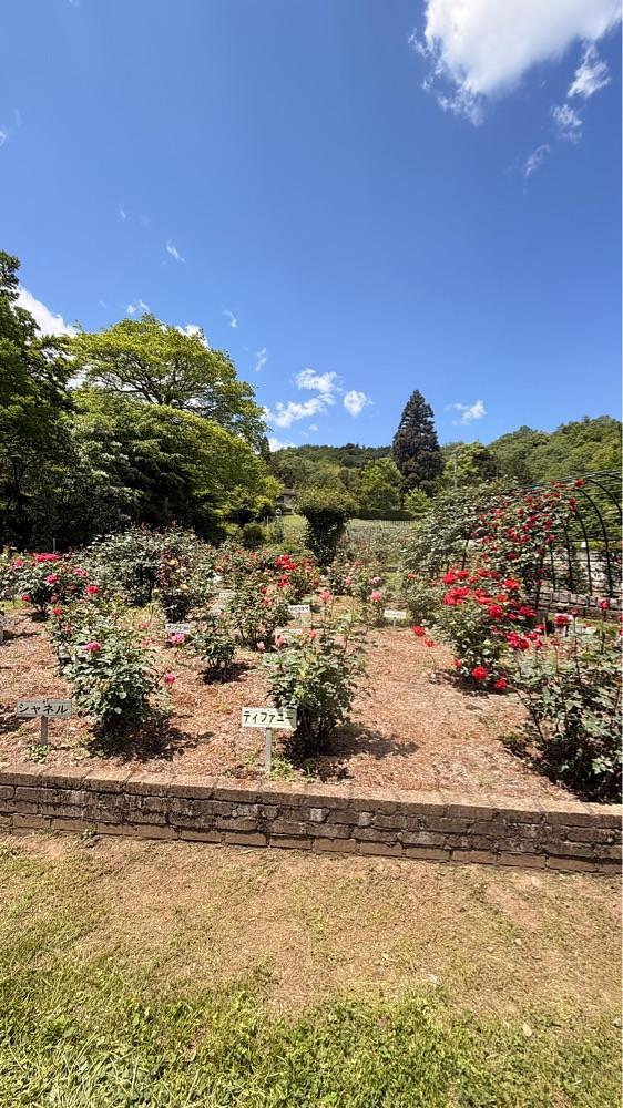 りおん💓さんが投稿した岐阜市畜産センター公園に関する口コミの画像