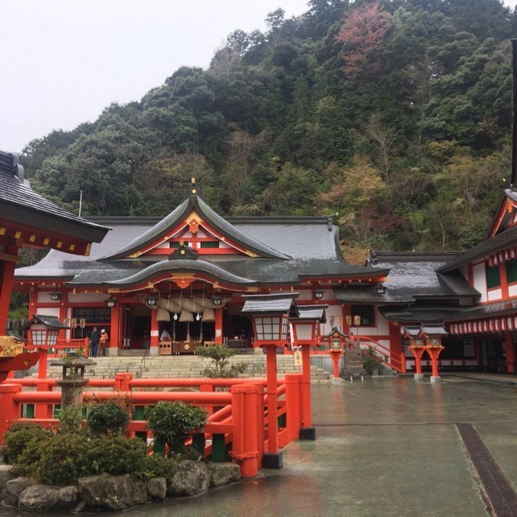 みーなさんが投稿したSL「やまぐち号」（新山口～津和野）に関する口コミの画像