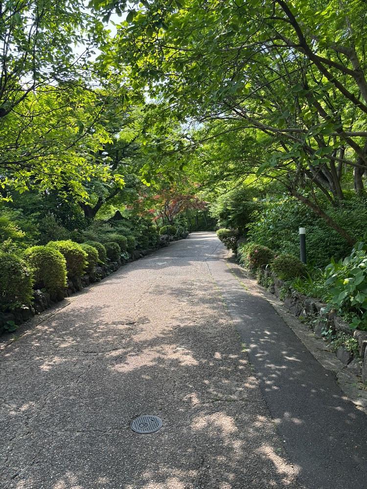 それなはとけさんが投稿したアサヒグループ大山崎山荘美術館 喫茶室（【旧店名】アサヒビール大山崎山荘美術館）に関する口コミの画像