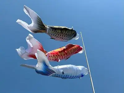 日笠バラ園