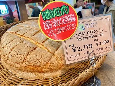 ぼくとメロンとソフトクリーム。