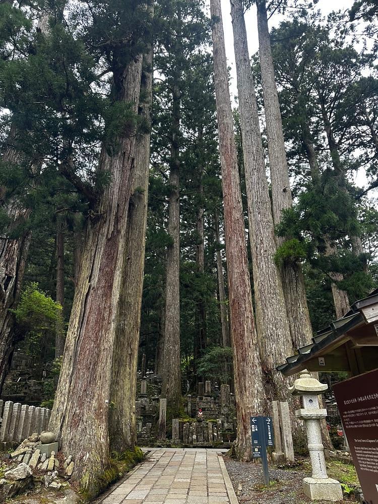stealthさんが投稿した南峰堂本舗（なんぽうどうほんぽ）に関する口コミの画像