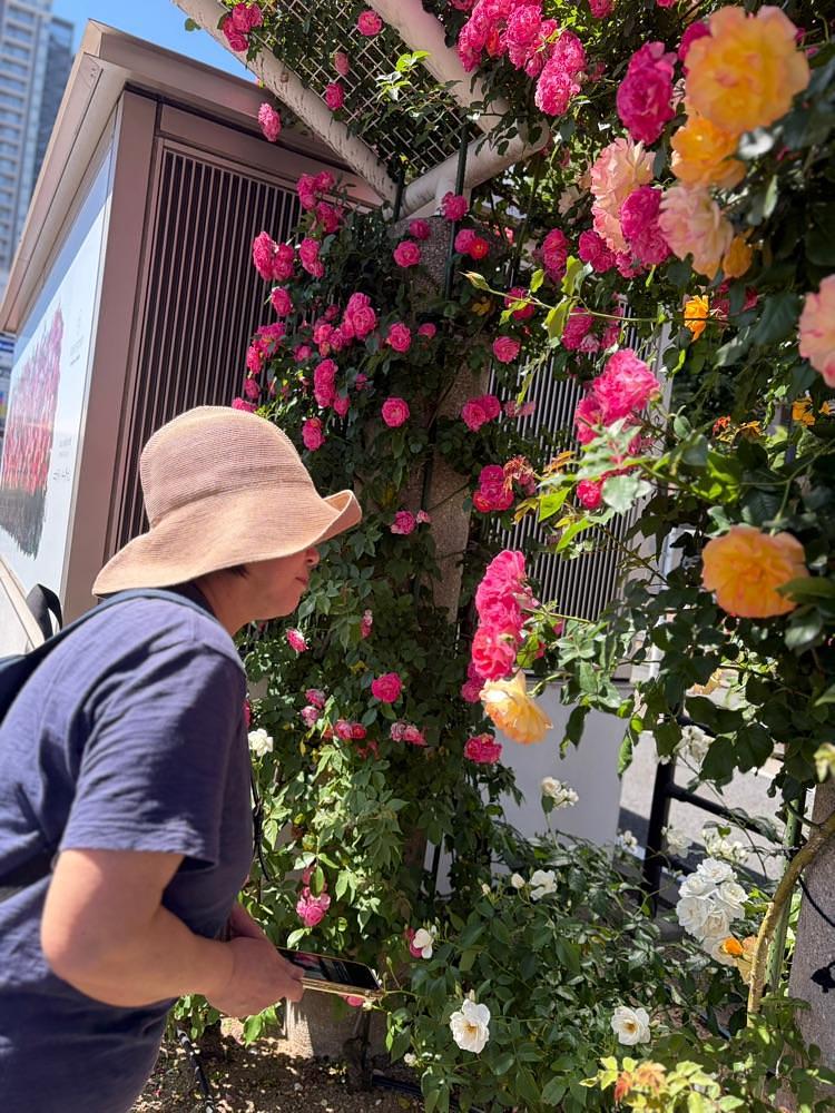 chou chou tabiさんが投稿した福山駅に関する口コミの画像